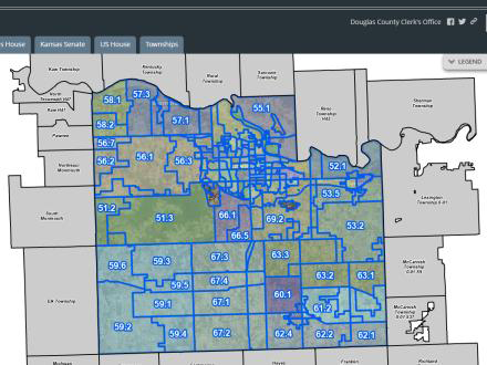 GIS Voting Districts Map